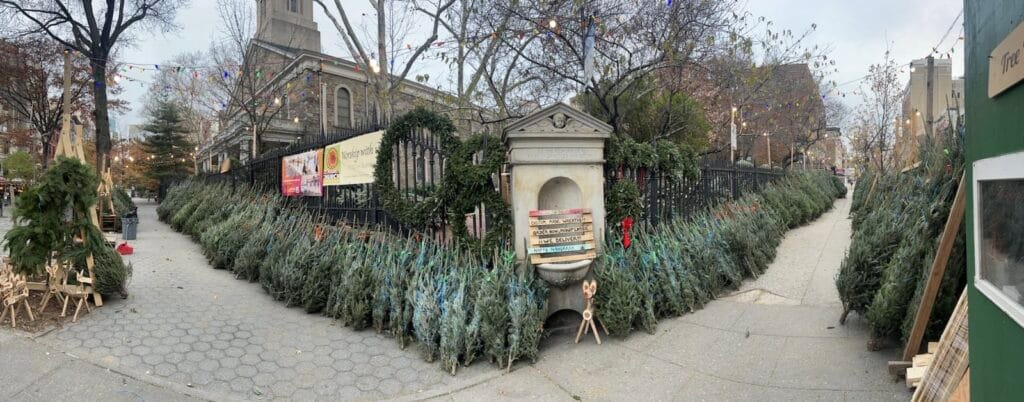Wide view of the Tree Riders NYC stand on East 10th Street, rows of fresh Christmas trees along the St. Mark's churchyard fence