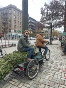 Tree Riders NYC crew member delivering a Christmas tree by cargo bike down a Manhattan avenue
